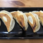 Hitachi Teuchi Gyoza Masa - 