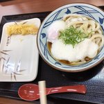 Marugame Seimen Kawasaki Uma Kinu Ten - 