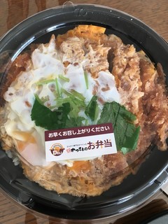 Katsu Sato Toyokawa Shiratori Ten - かつ丼（540円）