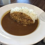 Awajishima Curry & Ryukyu Tamago Toji Don - 