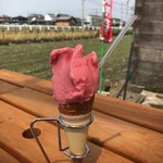 Farm Nishikawa - 