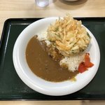 名代 箱根そば - かき揚げとカレーライス