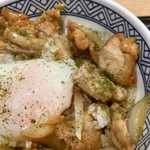 Yoshinoya Sennonji Ten - 山椒をふって､鶏臭さが軽減されます