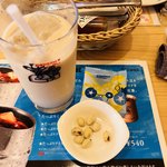 Komeda Coffee Ten Kumamoto Kikuchi Ten - ミルクコーヒー