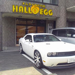 Hello Egg Setoguchiten - 愛車と