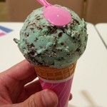 Baskin Robbins Iidabashi Ramura Ten - チョコミント370円