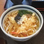 Teuchi Soba Udon Tsutsumi - 天ぷらうどん