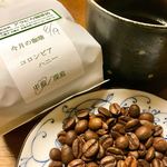 Arabica Coffee Ten - 