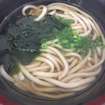 Nagano Udon - 