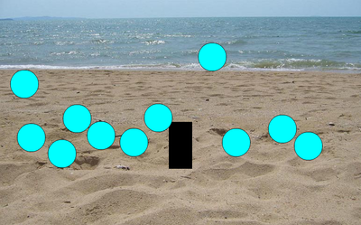 Panfu-BeachBolly-Unused-Ingame.png