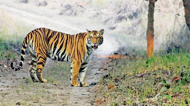 Dudhwa National Park