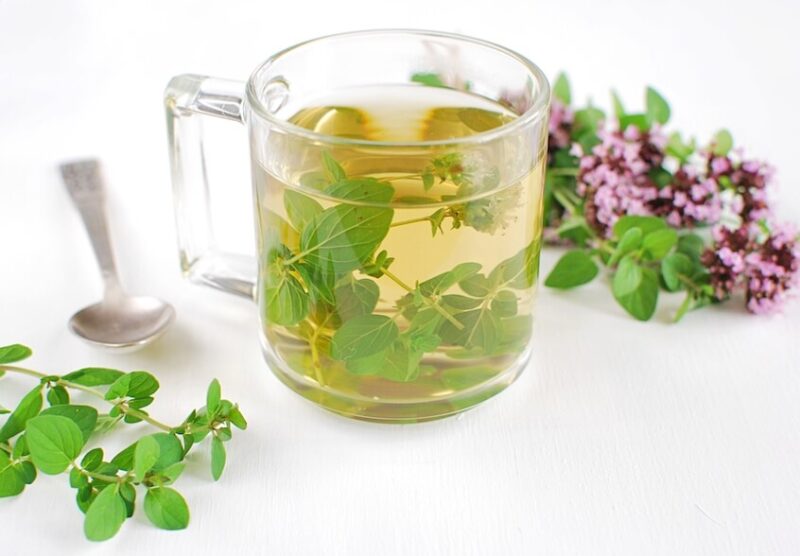 oregano tea