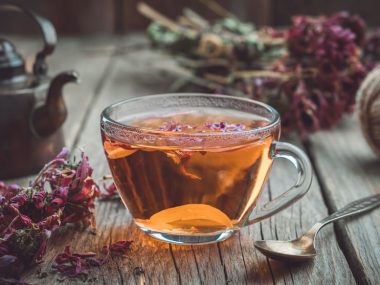 Echinacea tea