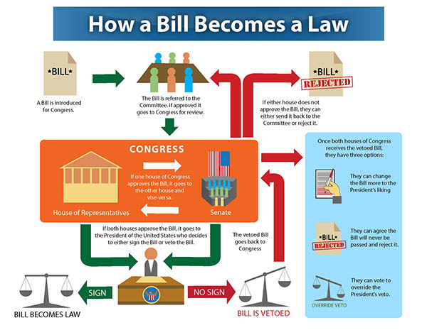 How A Bill Becomes A Law Flowchart