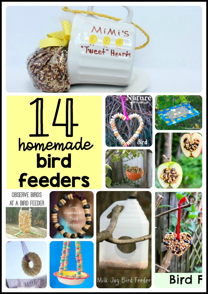 14 homemade bird feeders