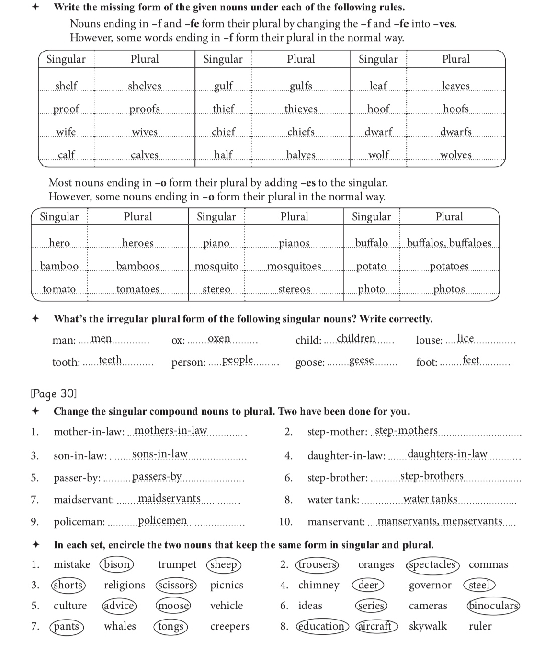 How to change the number from singular to plural noun