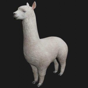 Alpaca 3d model