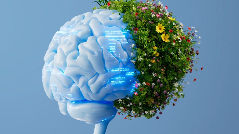 Imagen conceptual de un cerebro, la mitad con ideas y la otra mitad con arbustos verdes, que conceptualiza la realización de proyectos sustentables