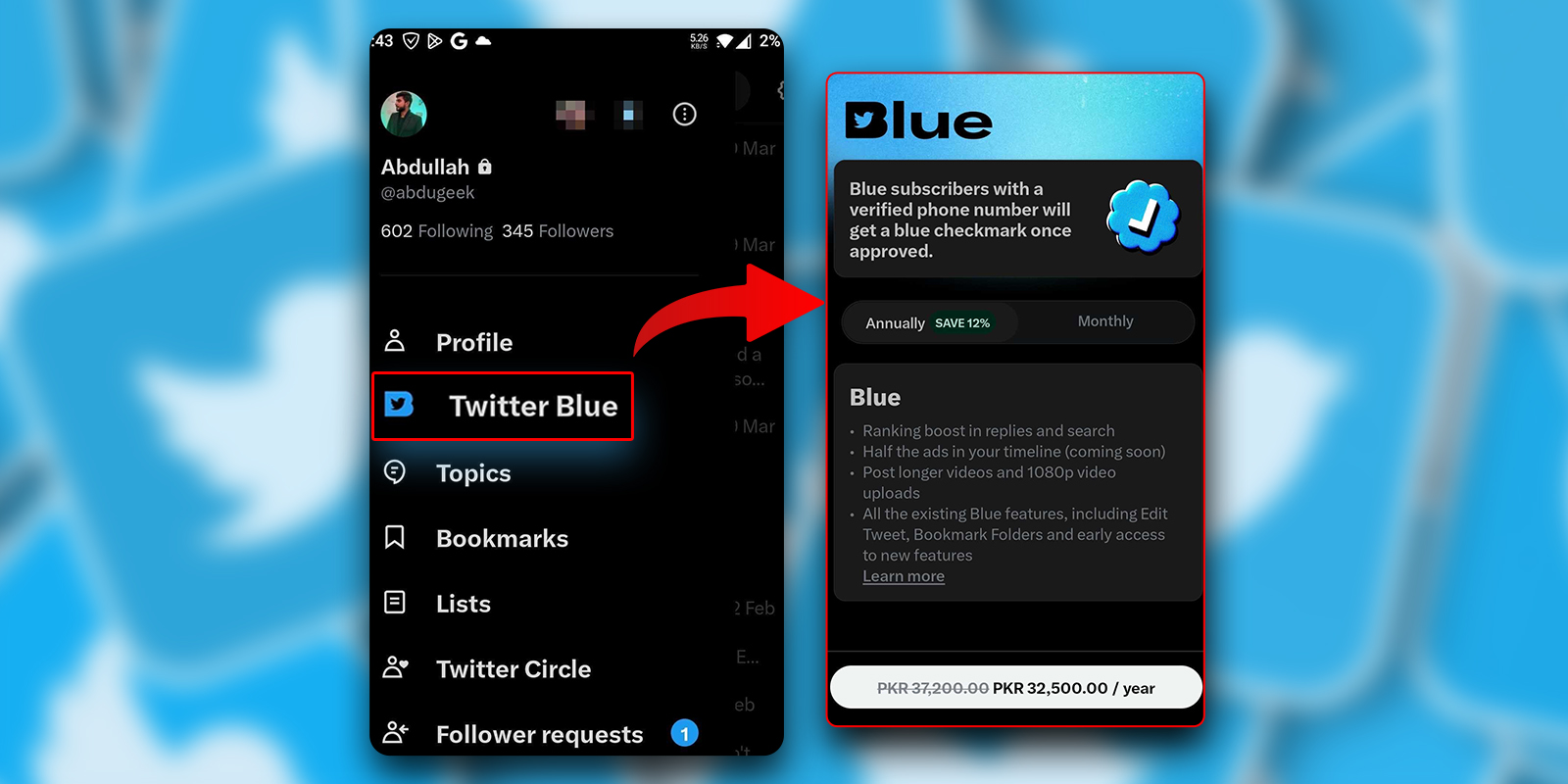 Twitter Blue screenshot for phone