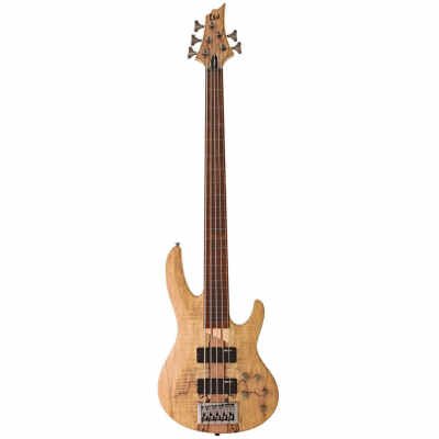 ESP LTD B205 Series 5 String Fretless Bass Electric Guitar with Spalted Maple Top Natural Satin Finish