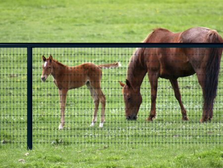 horse fence