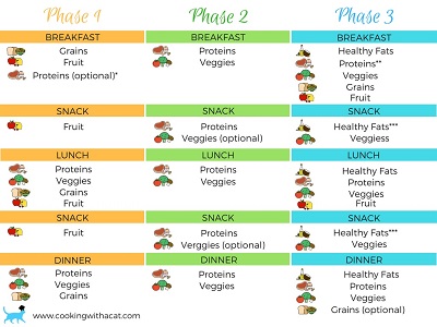 phase 1 fast metabolism diet