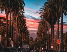 people sitting on chairs near palm trees during night time