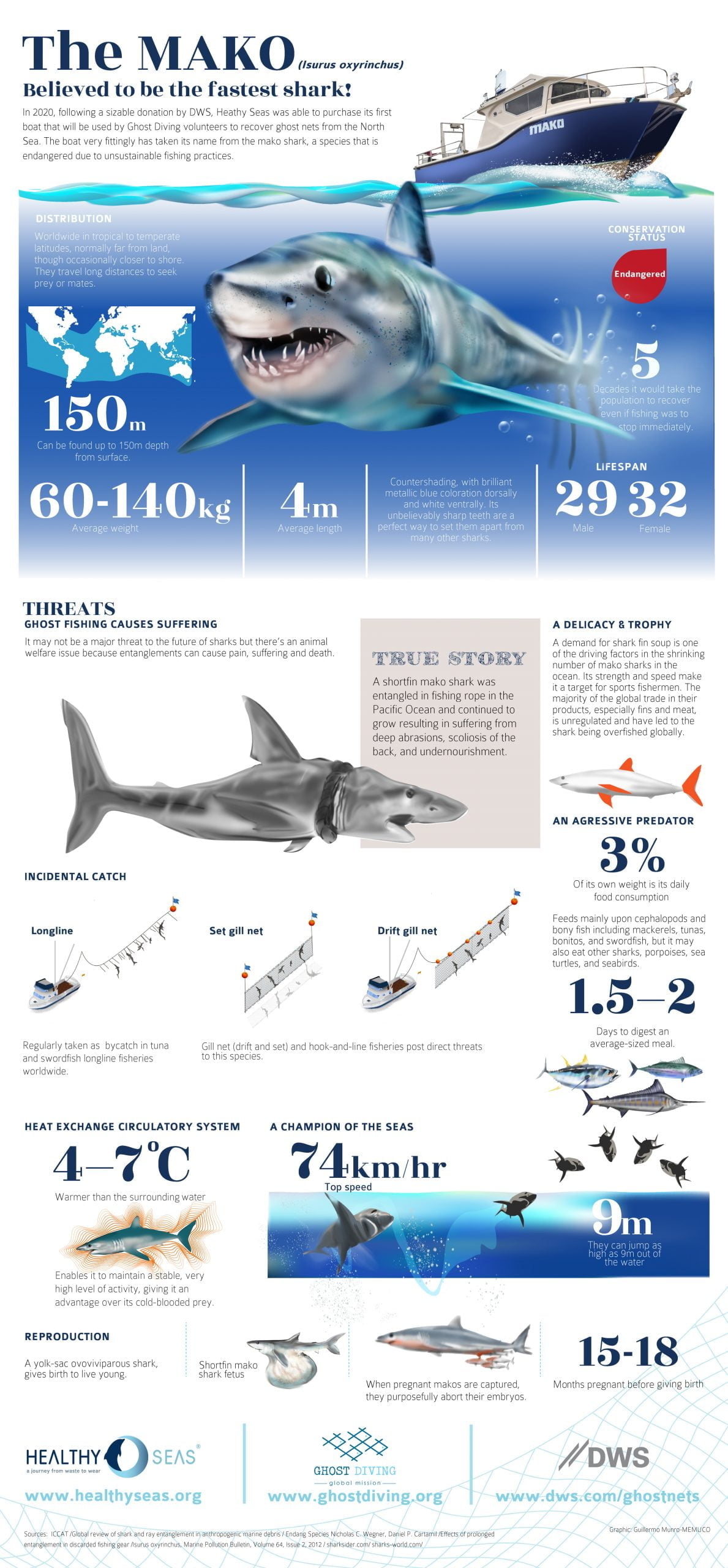 Happy Shark Awareness Day - Ten Square Games - one of the biggest ...