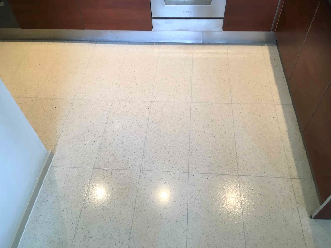 Terrazzo Kitchen Floors