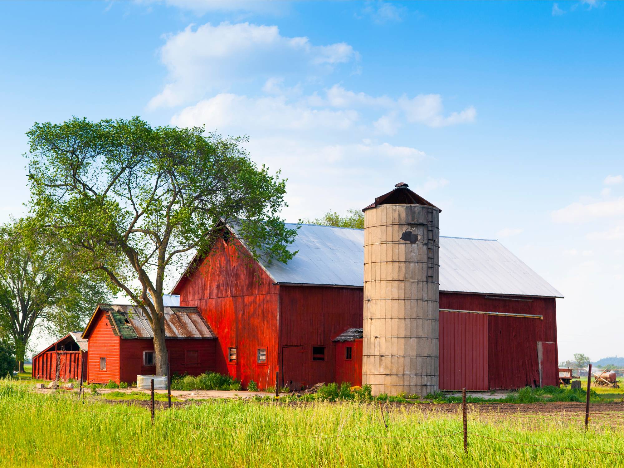 A Brief Checklist for Year-Round Barn Maintenance