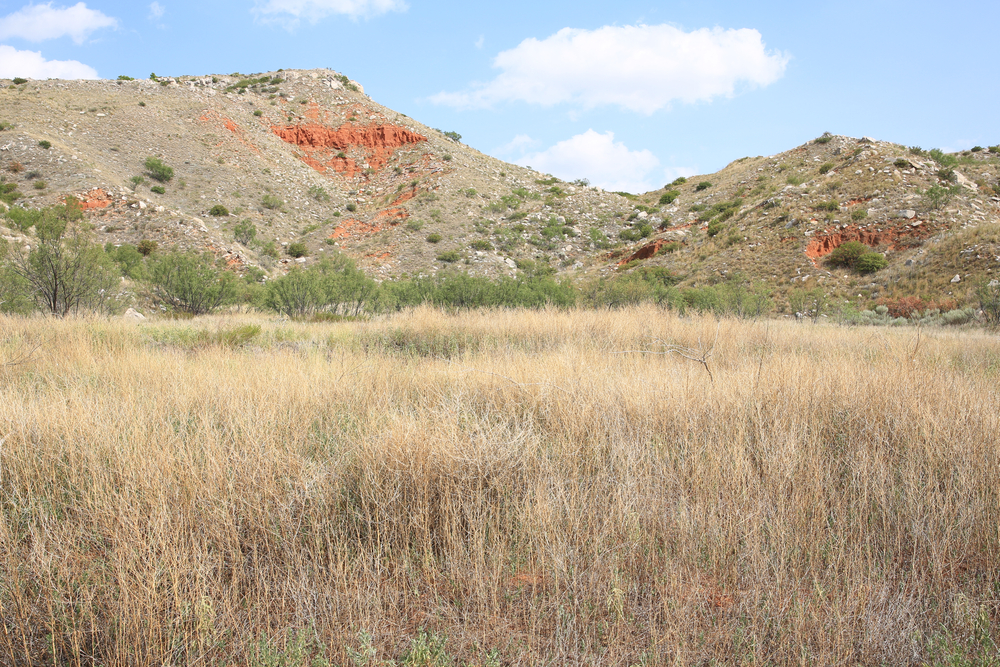 Exposed rock on hills with dry grass in the foreground on a sunny day