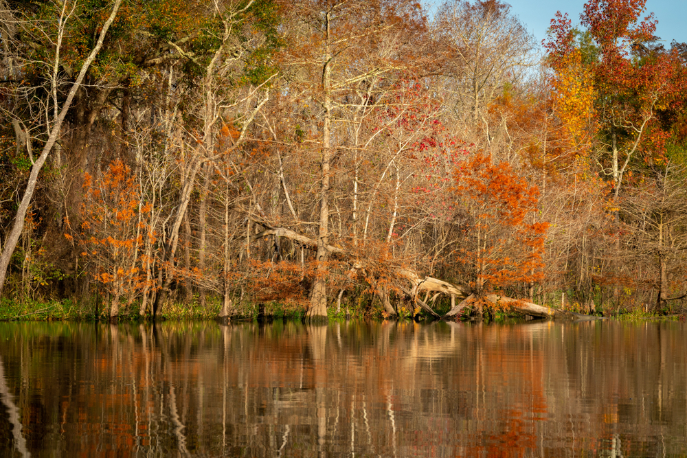 A lake surrounded by fall colors