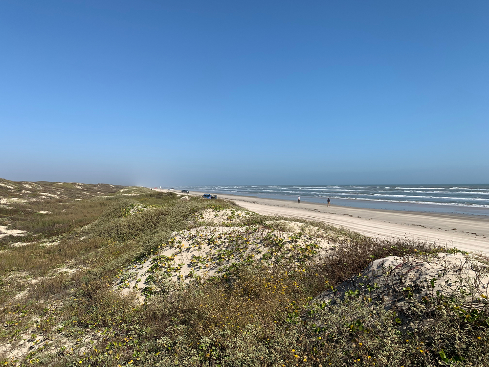 sand covered in grass leading to a beautiful sandy shore with waves crashing onto it