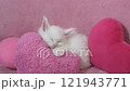 Pink heart and sleeping white kitten 121943771