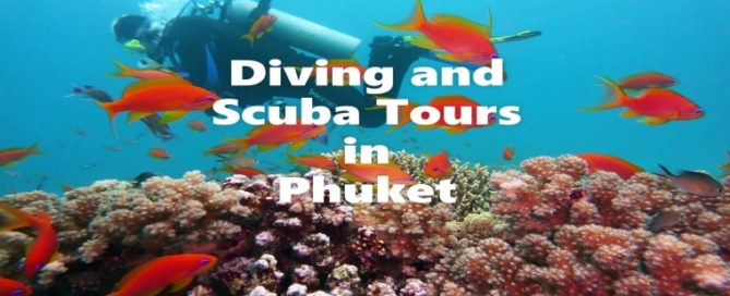 Scuba and Diving Tours in Phuket