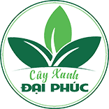 THẢM CỎ VIỆT