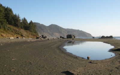 Brookings Becomes Latest Oregon Coast Town to Ban Beach Camping