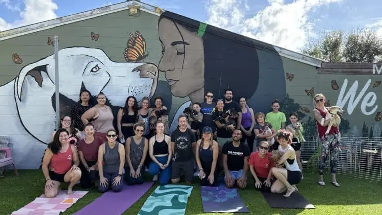 a group of people pose together after a yoga class at an outdoor dog-friendly beer garden