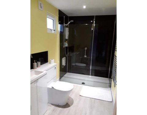 En-suite including a walk in shower, toilet and sink unit.