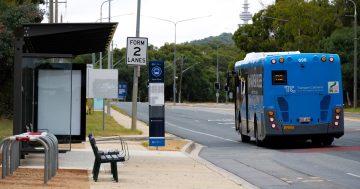 Bus information issue 'magically resolved' but communication needs to be better: advocacy group