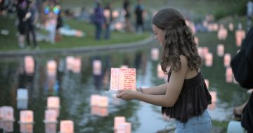 Water Lantern Festival organisers react to scam allegation, say Canberra event still 'looking promising'