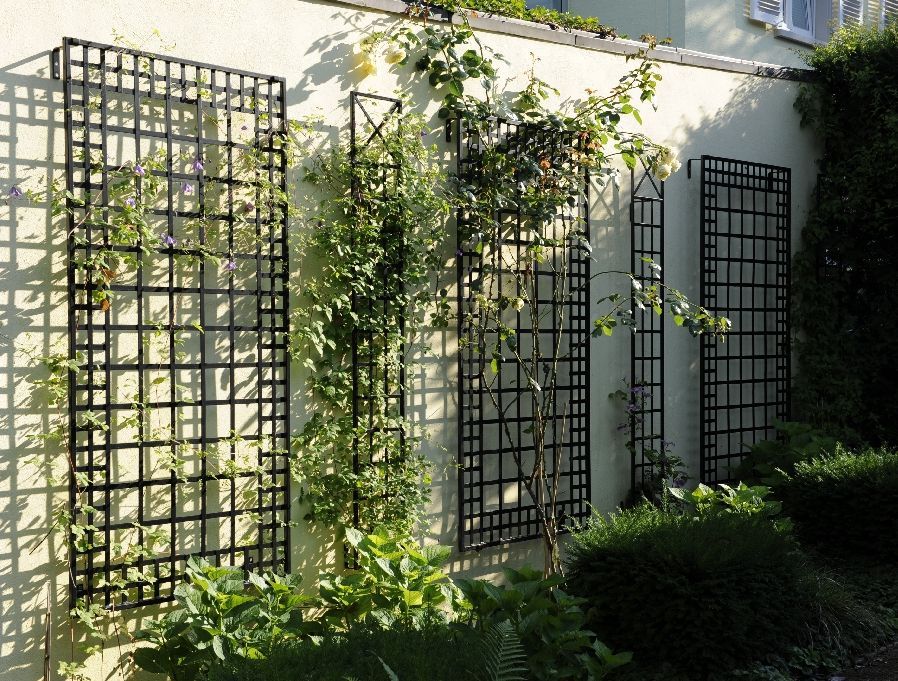 Garden Trellis