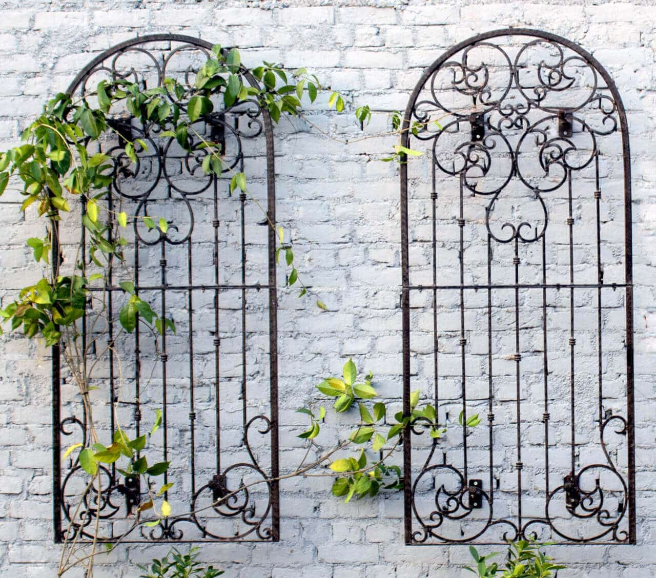 Garden Trellis