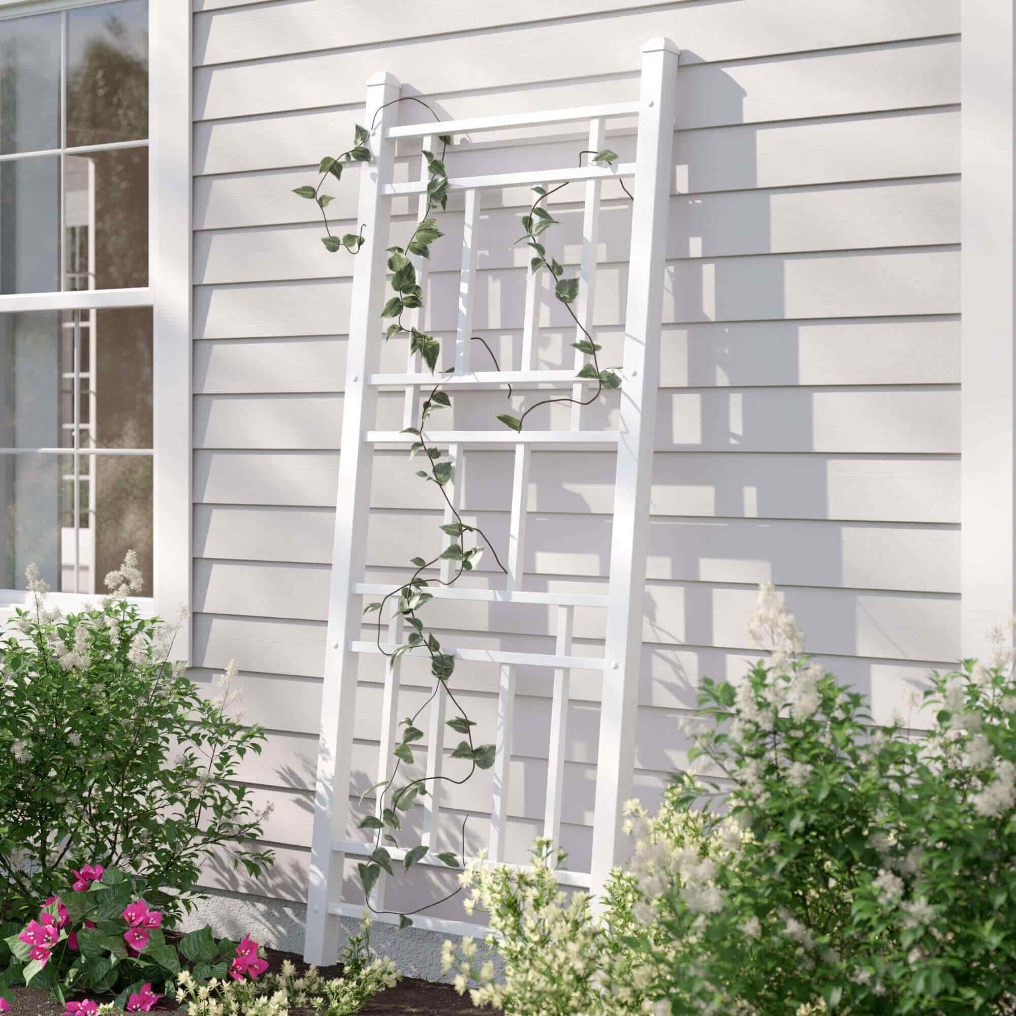 Garden Trellis