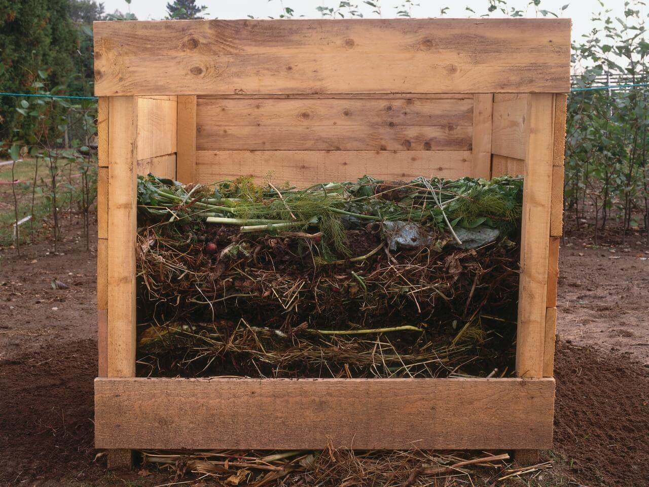 Compost Bin For Garden