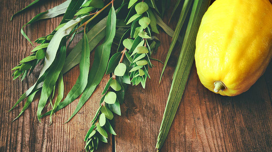 sukkot