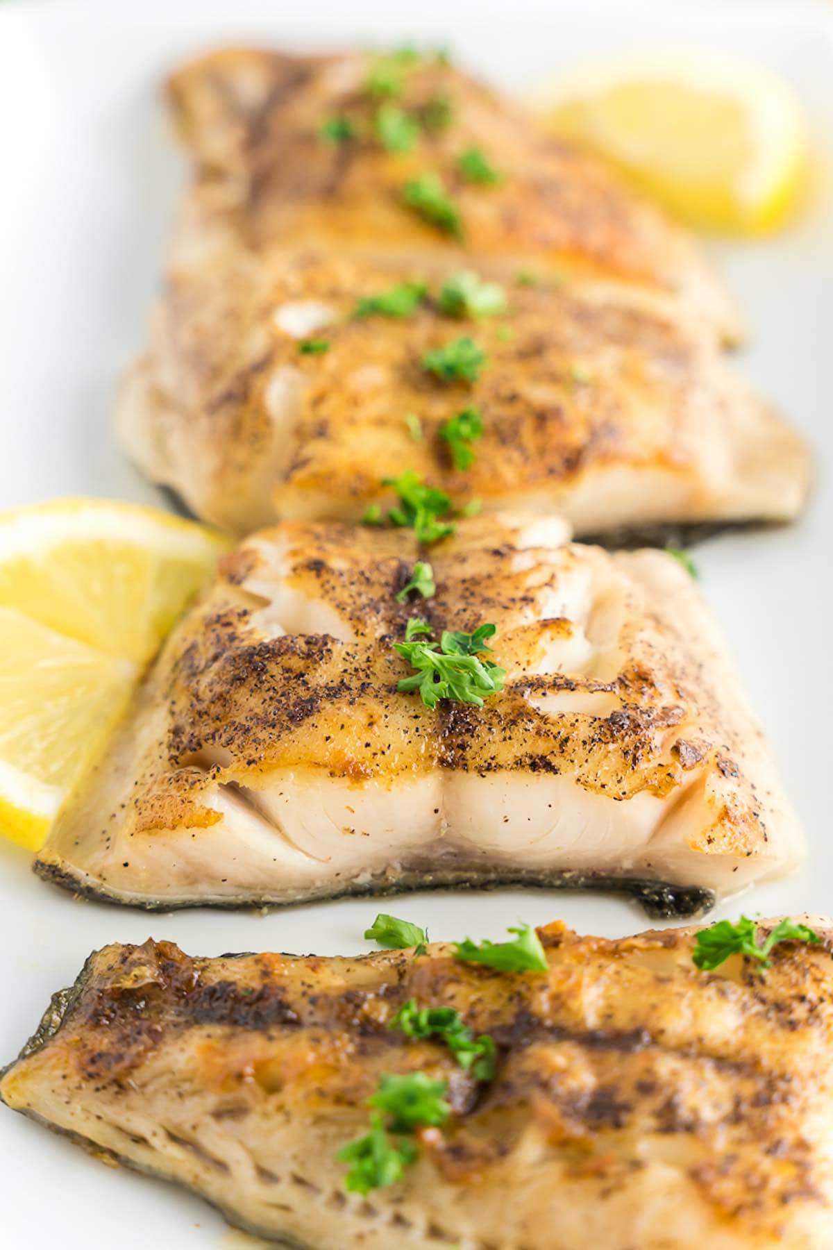 pan seared grouper fillets.