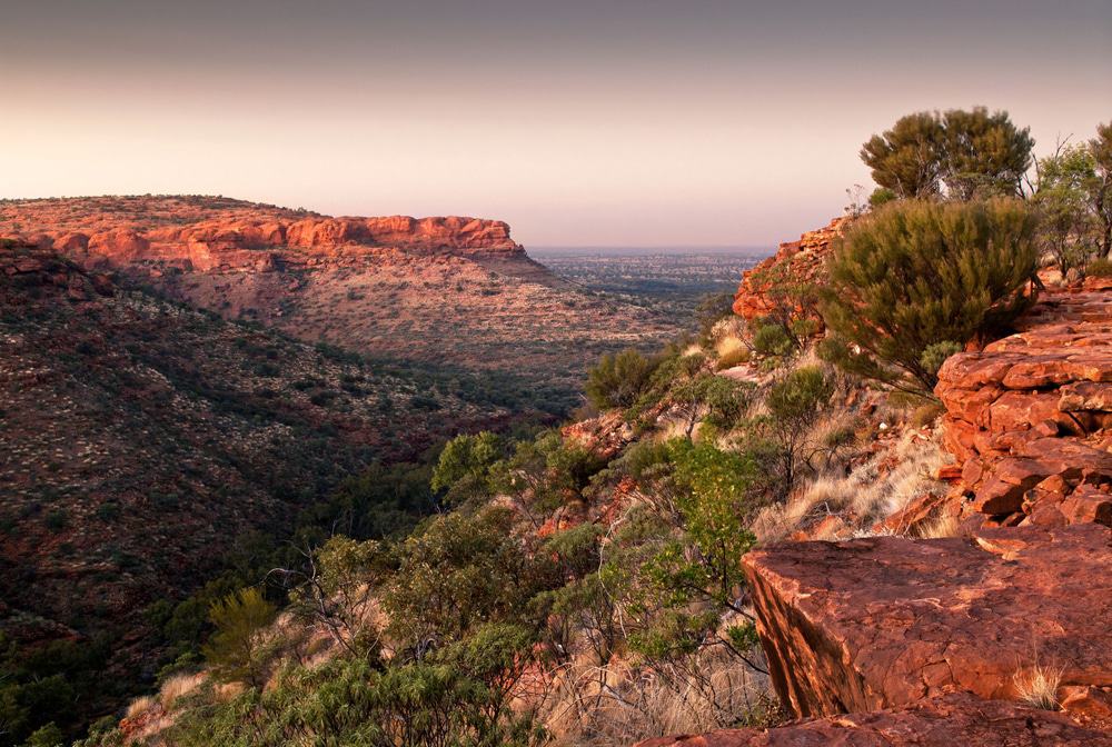 Kings Canyon: Full Day Tour From Ayers Rock Resort