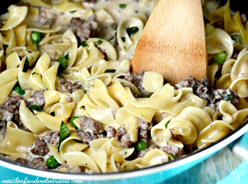 Ground Beef And Egg Noodles
 e Pot Ground Beef Stroganoff Meatloaf and Melodrama