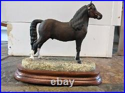 Fine Arts Welsh Mountain Pony Stallion section A